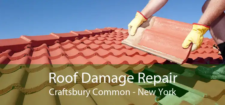 Roof Damage Repair Craftsbury Common - New York