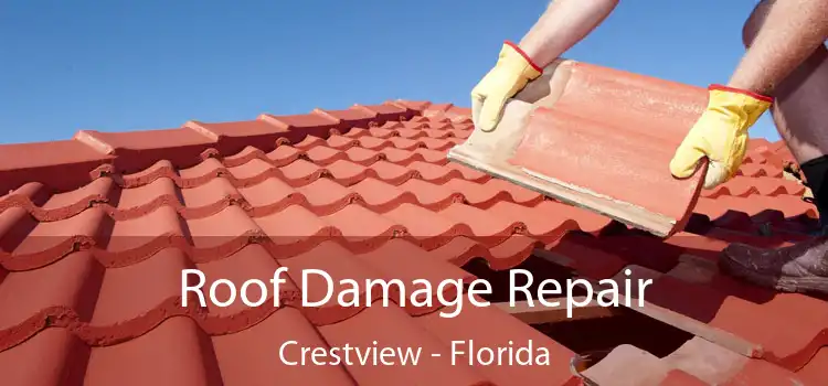 Roof Damage Repair Crestview - Florida