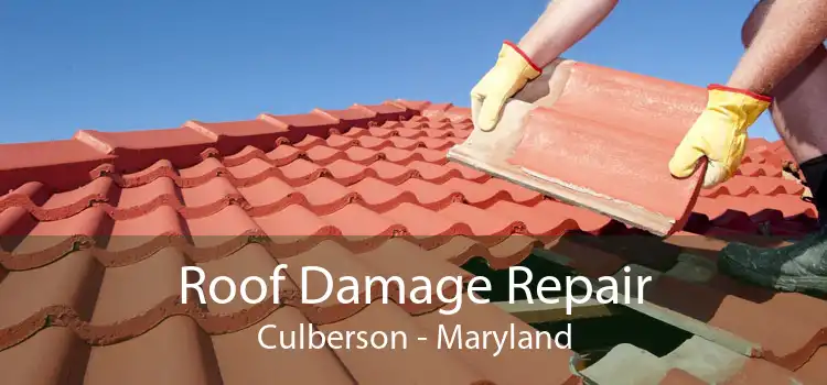 Roof Damage Repair Culberson - Maryland