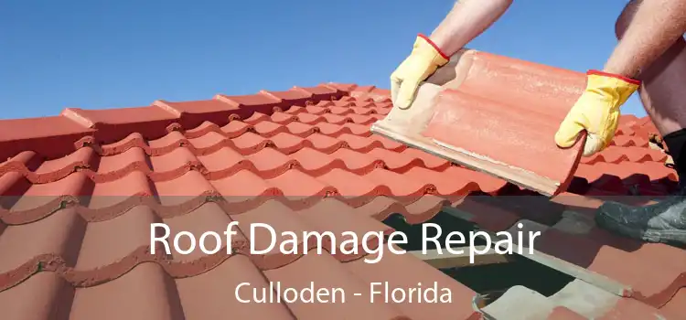 Roof Damage Repair Culloden - Florida