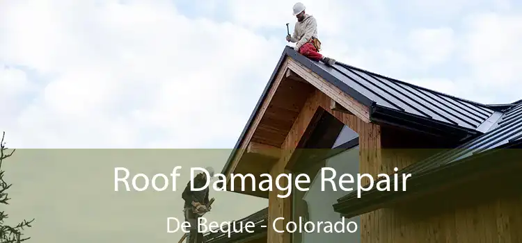 Roof Damage Repair De Beque - Colorado