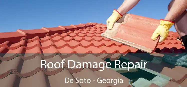 Roof Damage Repair De Soto - Georgia