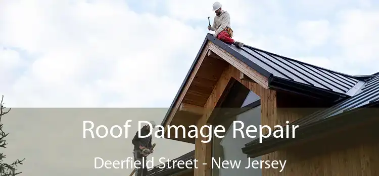 Roof Damage Repair Deerfield Street - New Jersey