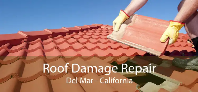 Roof Damage Repair Del Mar - California