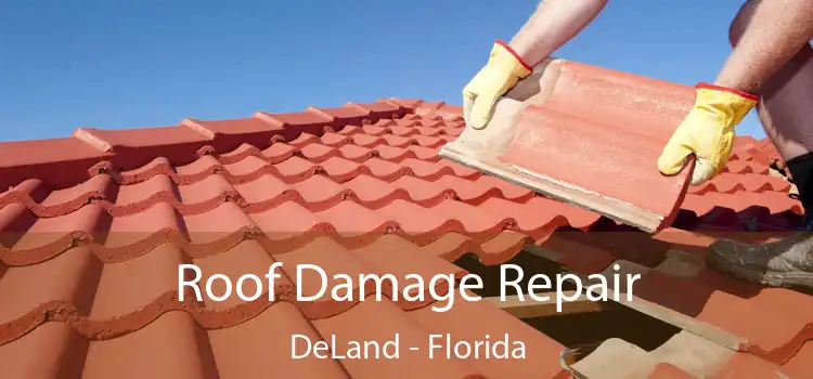 Roof Damage Repair DeLand - Florida