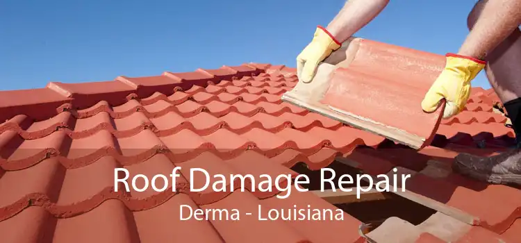 Roof Damage Repair Derma - Louisiana