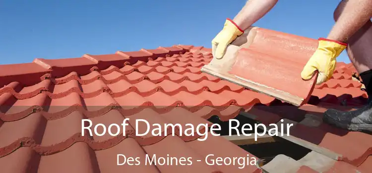 Roof Damage Repair Des Moines - Georgia