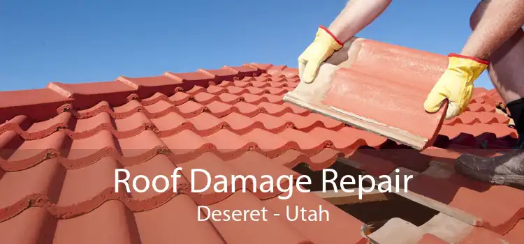 Roof Damage Repair Deseret - Utah