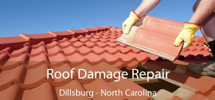 Roof Damage Repair Dillsburg - North Carolina