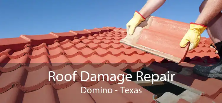 Roof Damage Repair Domino - Texas