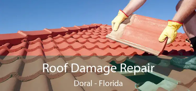 Roof Damage Repair Doral - Florida