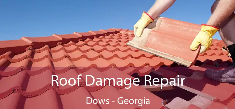 Roof Damage Repair Dows - Georgia