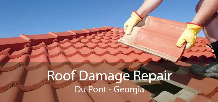 Roof Damage Repair Du Pont - Georgia
