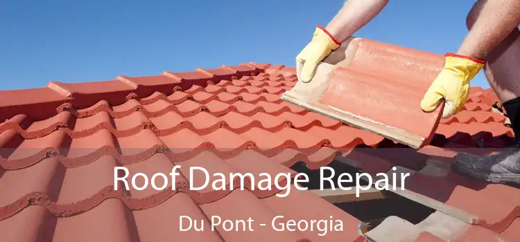 Roof Damage Repair Du Pont - Georgia