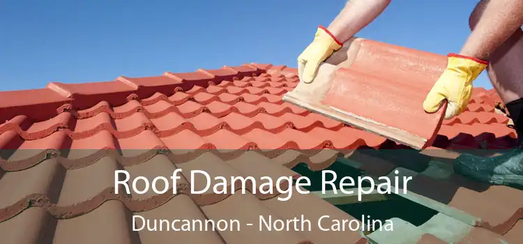 Roof Damage Repair Duncannon - North Carolina