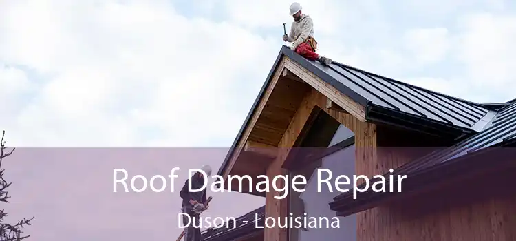 Roof Damage Repair Duson - Louisiana