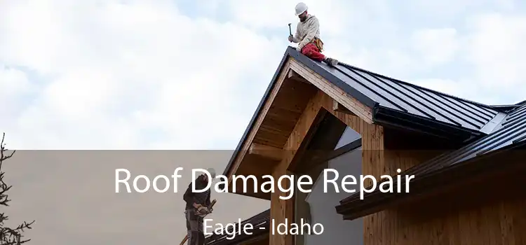 Roof Damage Repair Eagle - Idaho