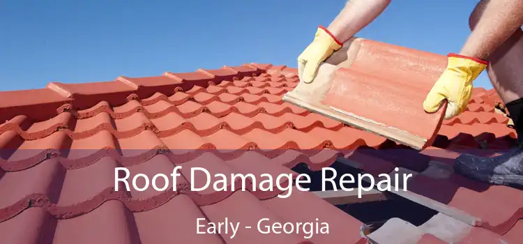 Roof Damage Repair Early - Georgia