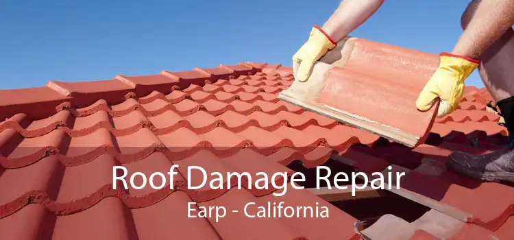 Roof Damage Repair Earp - California