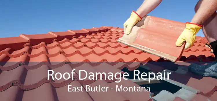 Roof Damage Repair East Butler - Montana