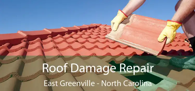 Roof Damage Repair East Greenville - North Carolina