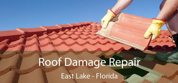 Roof Damage Repair East Lake - Florida