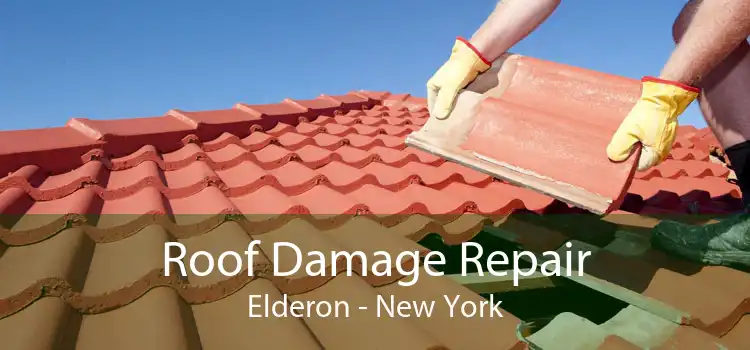 Roof Damage Repair Elderon - New York
