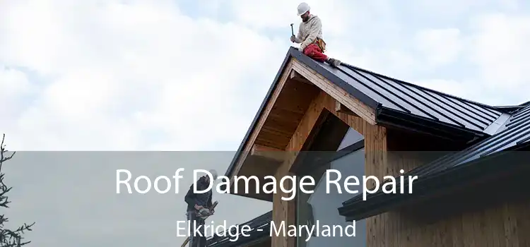 Roof Damage Repair Elkridge - Maryland