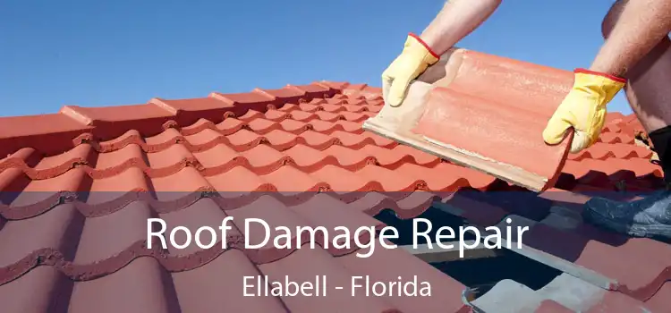 Roof Damage Repair Ellabell - Florida