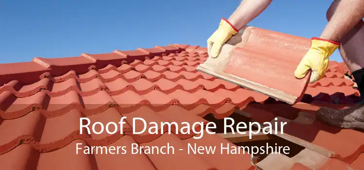 Roof Damage Repair Farmers Branch - New Hampshire