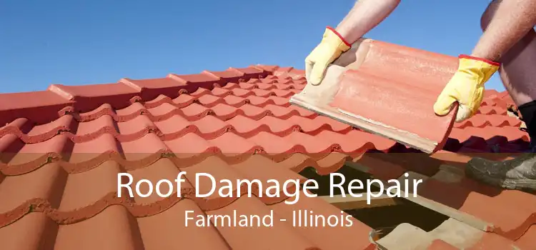 Roof Damage Repair Farmland - Illinois