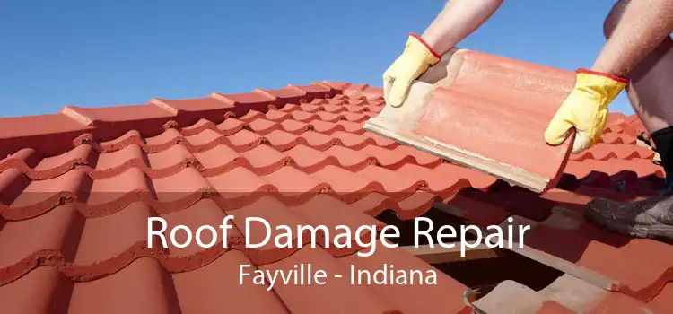 Roof Damage Repair Fayville - Indiana