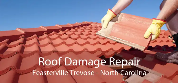 Roof Damage Repair Feasterville Trevose - North Carolina