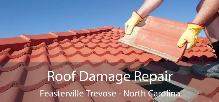 Roof Damage Repair Feasterville Trevose - North Carolina