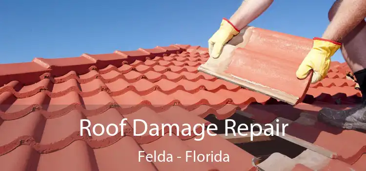 Roof Damage Repair Felda - Florida