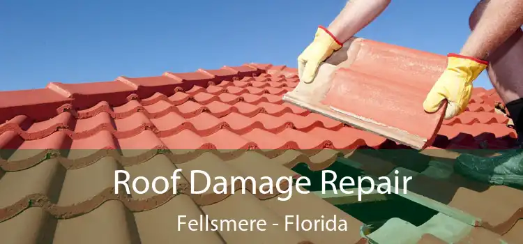 Roof Damage Repair Fellsmere - Florida