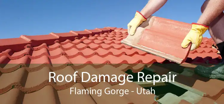 Roof Damage Repair Flaming Gorge - Utah