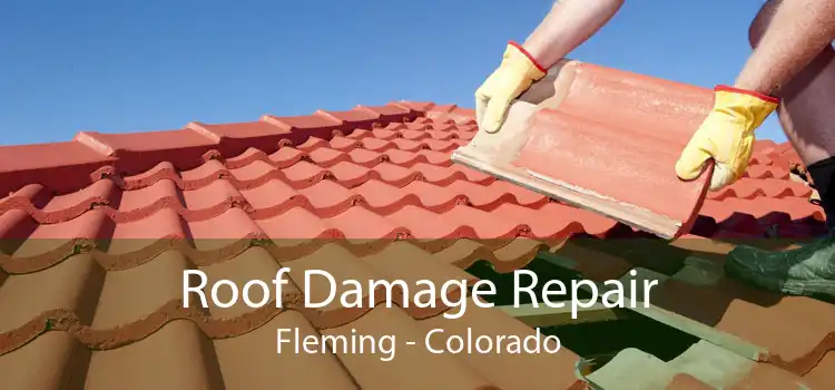Roof Damage Repair Fleming - Colorado
