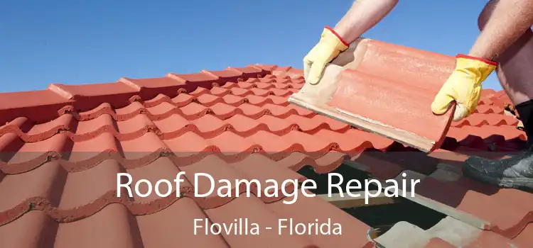 Roof Damage Repair Flovilla - Florida