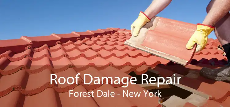 Roof Damage Repair Forest Dale - New York