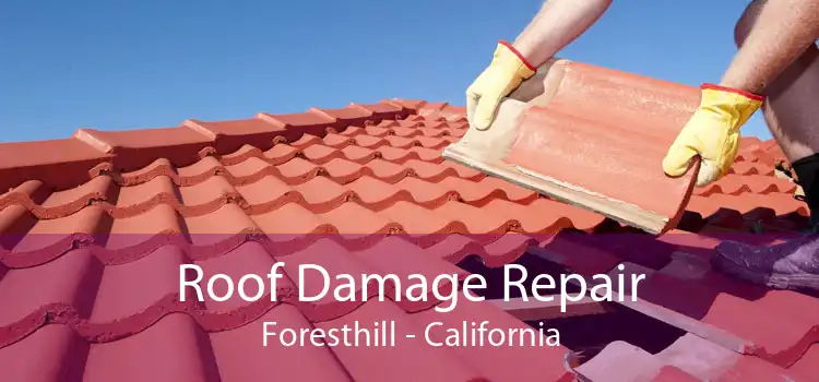 Roof Damage Repair Foresthill - California