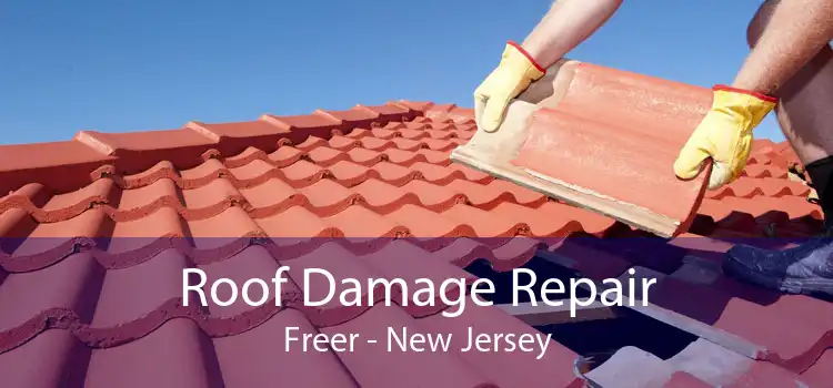 Roof Damage Repair Freer - New Jersey