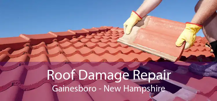 Roof Damage Repair Gainesboro - New Hampshire