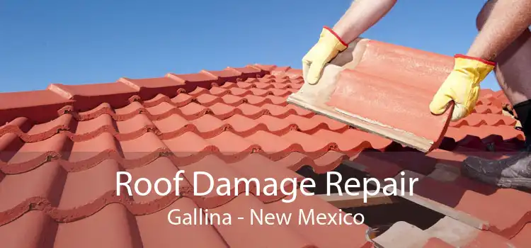 Roof Damage Repair Gallina - New Mexico