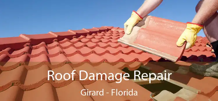 Roof Damage Repair Girard - Florida