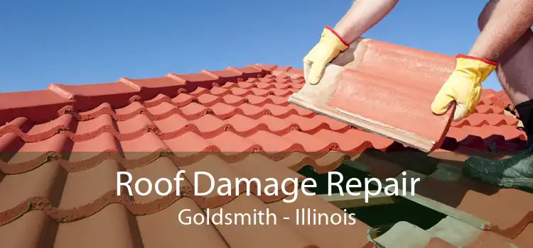 Roof Damage Repair Goldsmith - Illinois