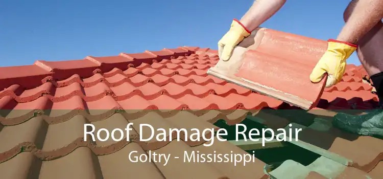 Roof Damage Repair Goltry - Mississippi