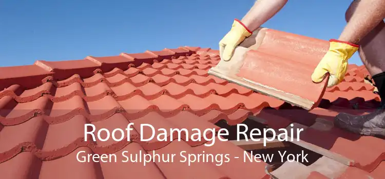Roof Damage Repair Green Sulphur Springs - New York