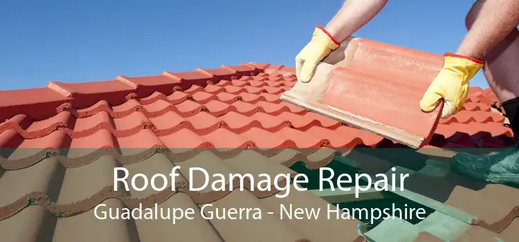 Roof Damage Repair Guadalupe Guerra - New Hampshire