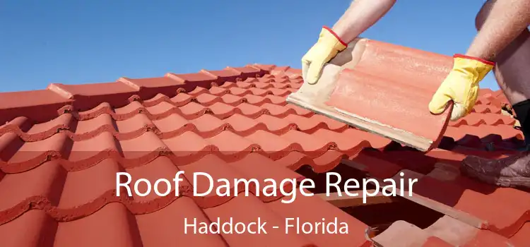 Roof Damage Repair Haddock - Florida